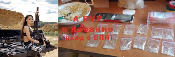 гашик Алексеевка