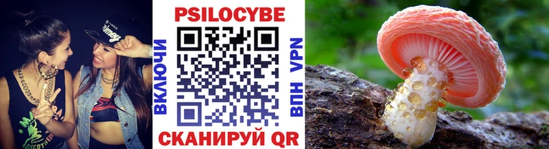 Псилоцибиновые грибы Psilocybe  Уссурийск 