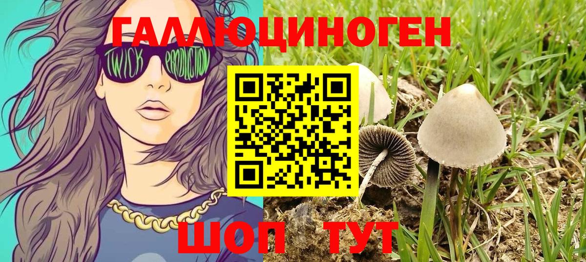 Псилоцибиновые грибы Cubensis Уссурийск