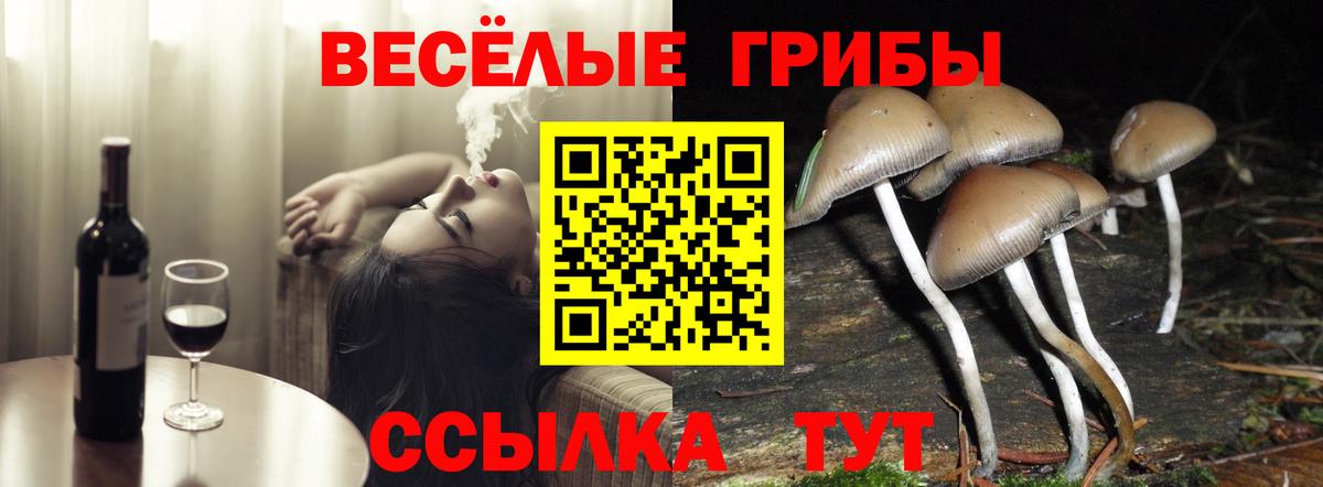 Уссурийск  Псилоцибиновые грибы мицелий  Галлюциногенные грибы GOLDEN TEACHER  Вход с VPN 